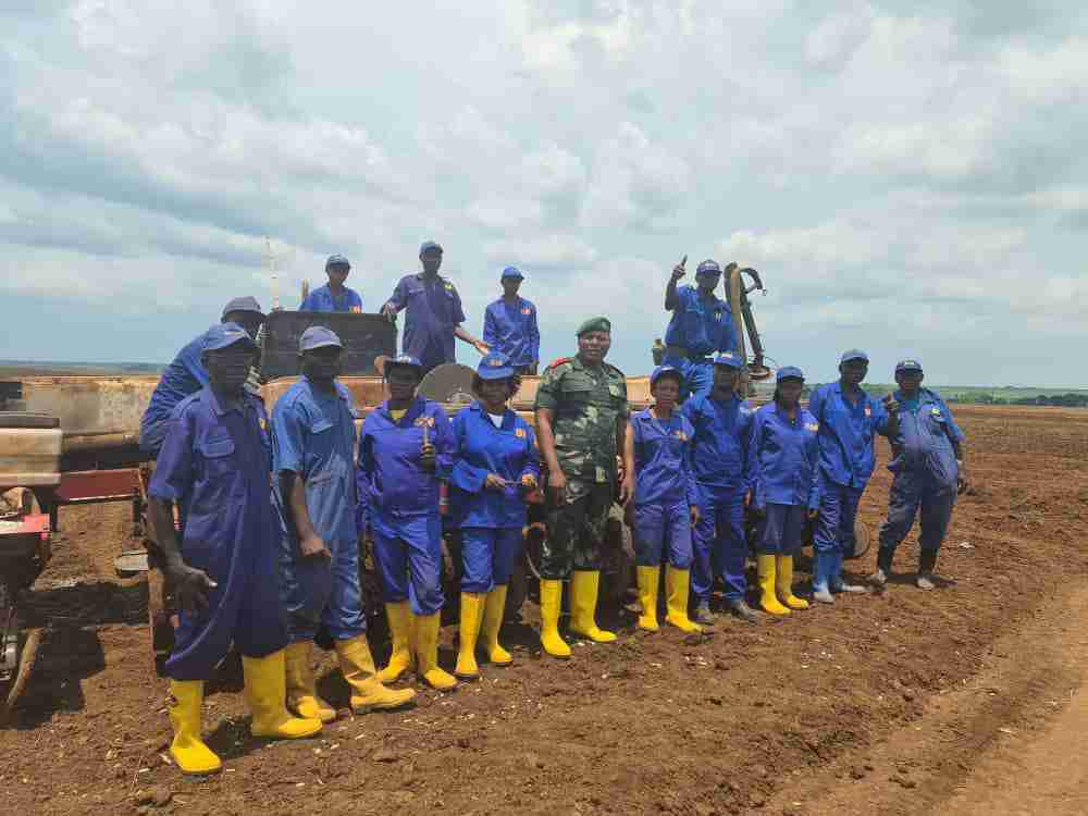 Service National: Vaste récolte agricole en cours à Kaniama Kasese